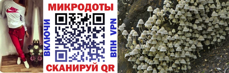 Псилоцибиновые грибы Cubensis  Полтавская 